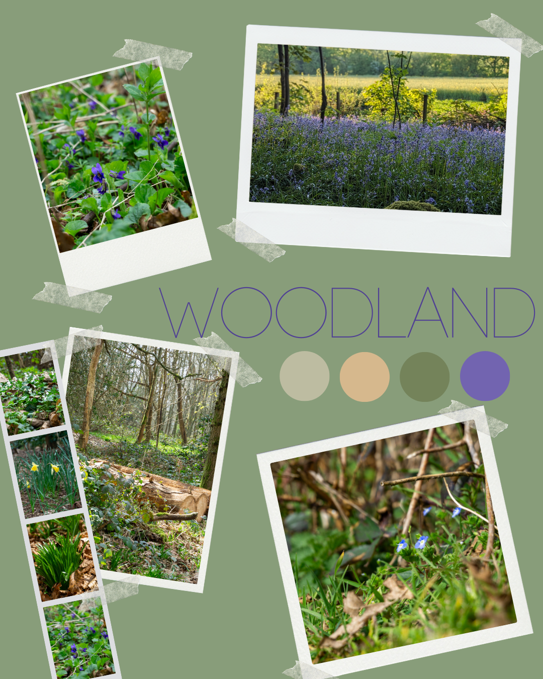 Spring - The Roughs Seasonal Yarn Club - IN STOCK