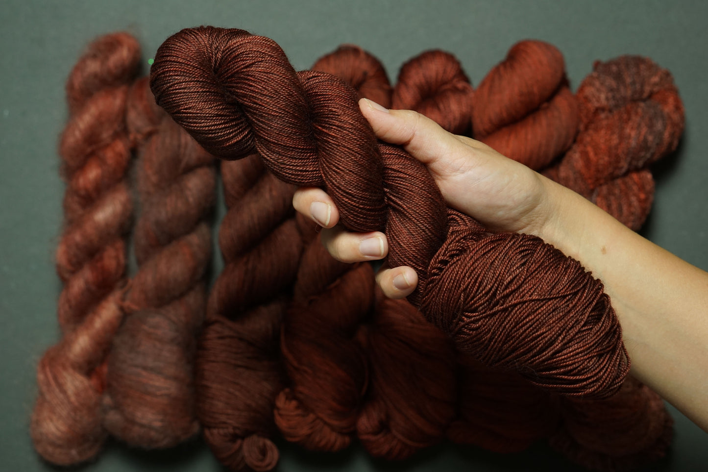 Bay - Silky Yak