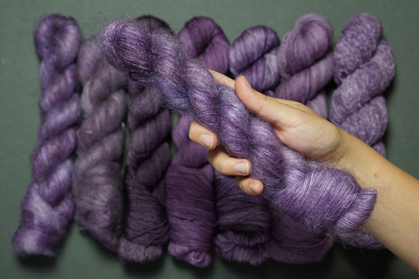 Blewit - Willow