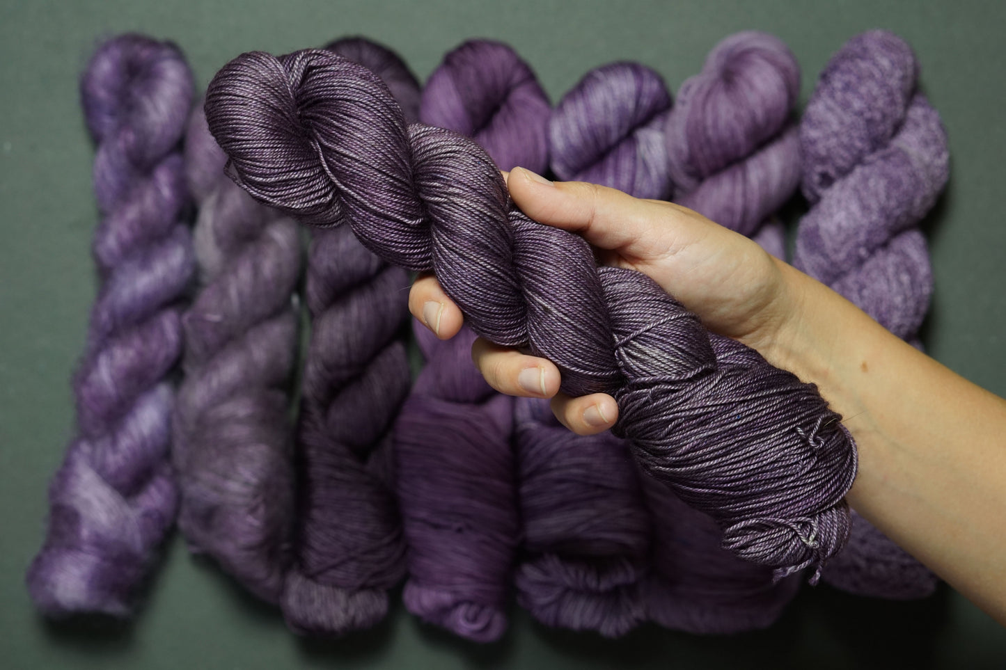 Blewit - Silky Yak