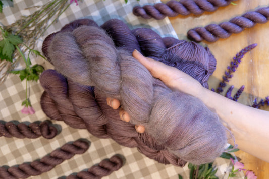 Shoreline - Cash Fluff